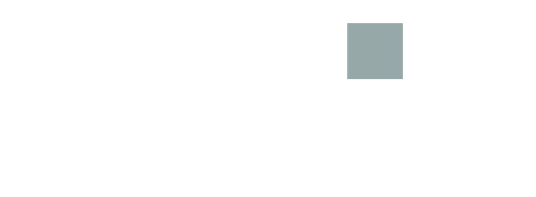 LogoDueG Color (1)